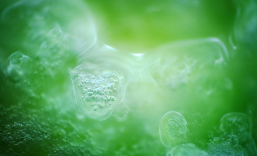 abiogenesis