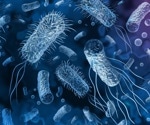 Applications of Bacterial Biopolymers in Biomedicine