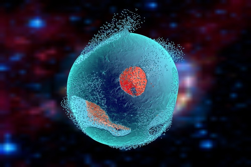apoptosis