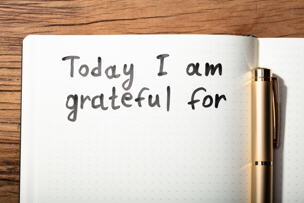 Image Credit: Andrey_Popov/Shutterstock