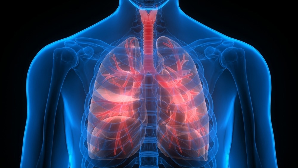Image Credit: Magic mine/Shutterstock.com