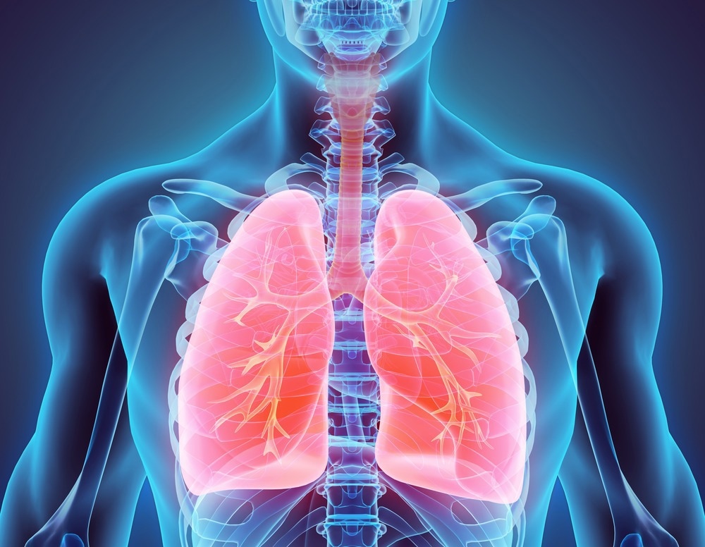Image Credit: MDGRPHCS/Shutterstock.com