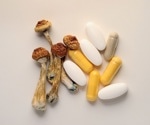 Insight into the World of Psychedelic Therapies