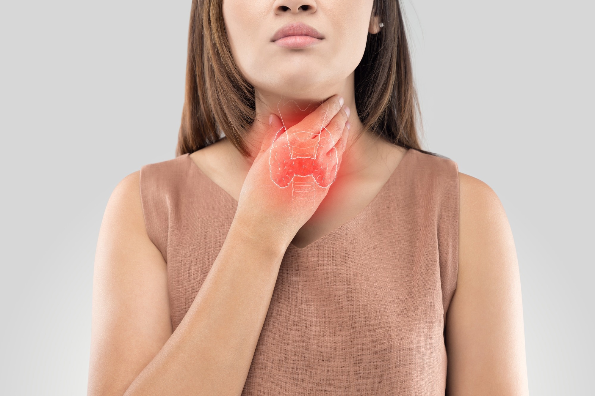 The thyroid
