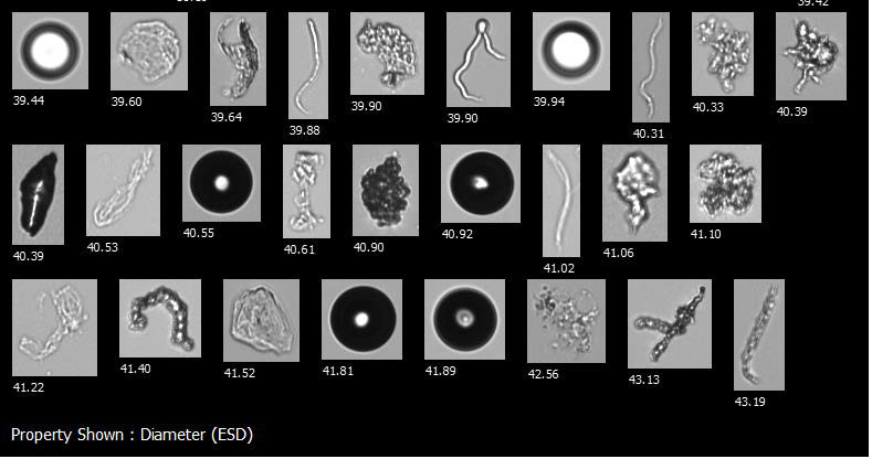 A FlowCam collage showing air bubbles, silicone oil droplets, protein aggregates, and other potential foreign contaminants in a biotherapeutic sample