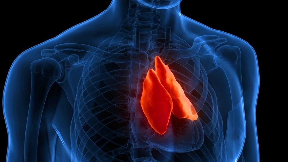 Image Credit: Magic mine/Shutterstock.com