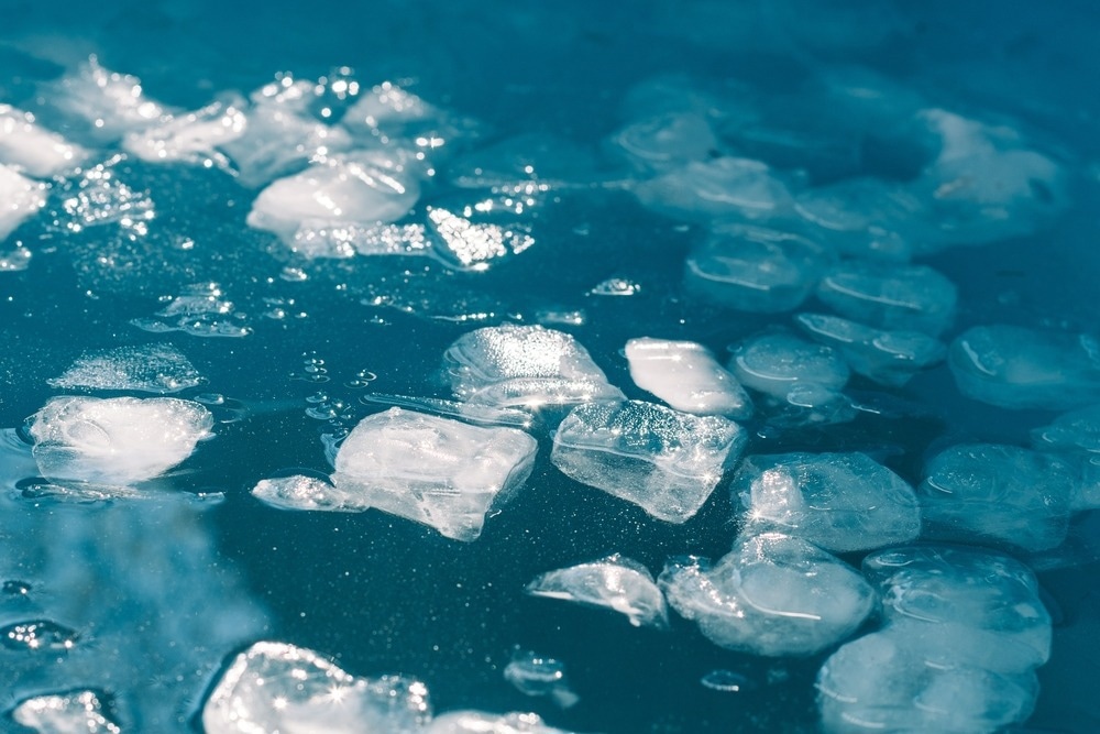 Image Credit: Michele Ursi/Shutterstock.com