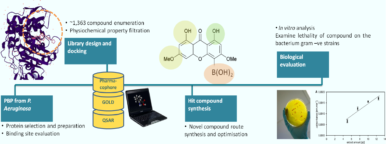 Novel boronic acids for combating Anti-Microbial Resistance in P.aeruginosa