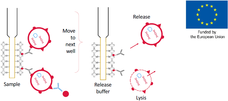 Development of automated isolation procedure