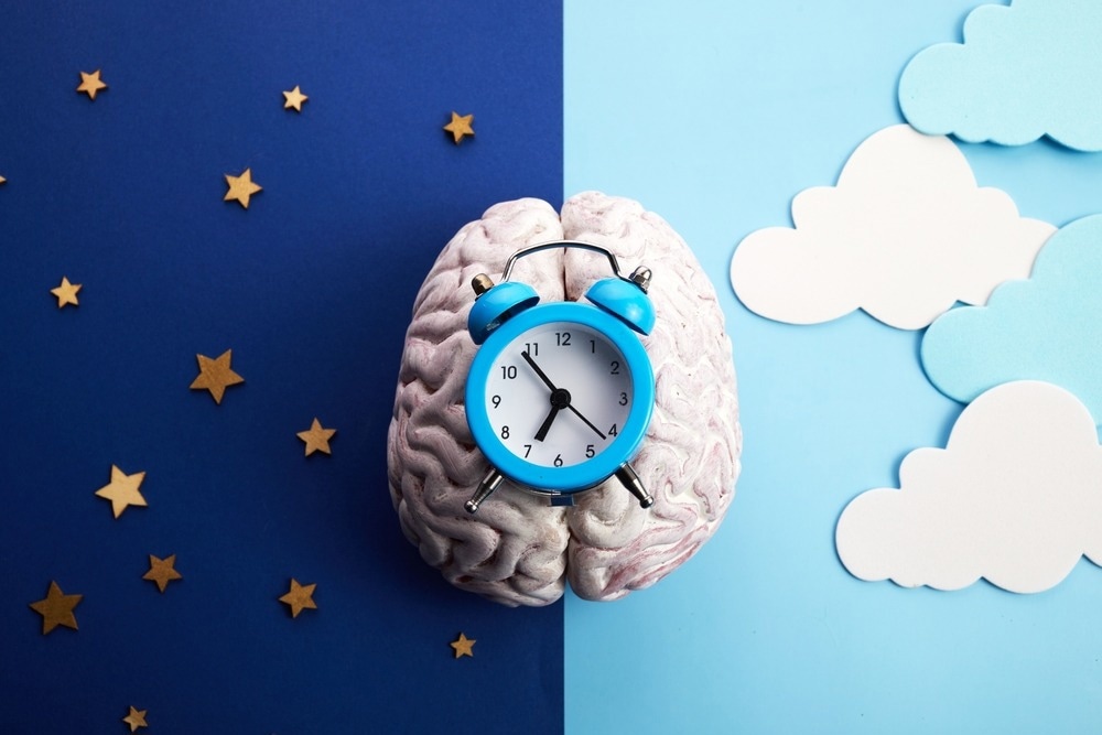 Image Credit: vetre/Shutterstock.com