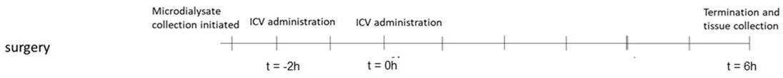 How to optimize models of neuroinflammation