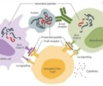 Immunogenicity risk assessment for therapeutic proteins using chip technology