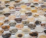 Expanding discovery with chemical diversity in natural product libraries