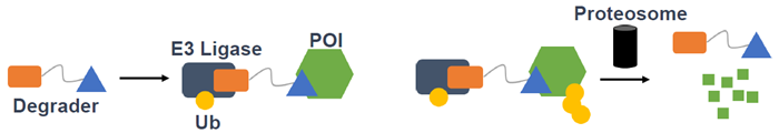 Using spectral shift in drug discovery projects
