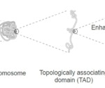 Uncovering the dark genome