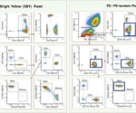 StarBright Yellow 561: A reliable alternative to PE-tandem dyes
