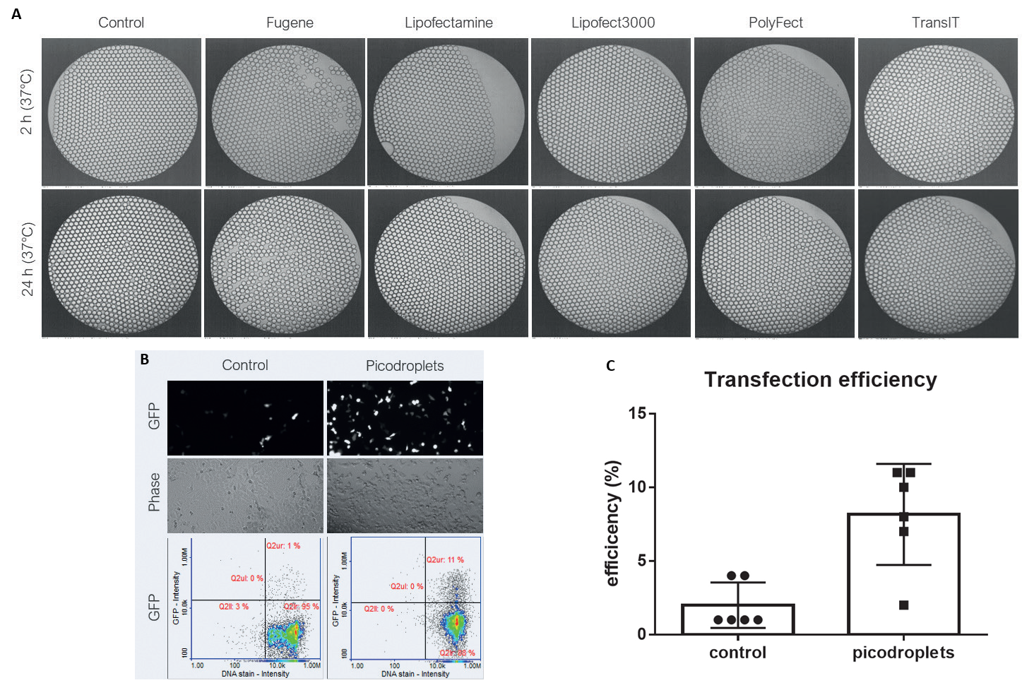 A) Compatibility of picodroplets with different transfection reagents. B) Cells transfected with DNA (GFP)/Lipofectamine 3000 in picodroplets C) 4 x increase in transfection efficiency in picodroplets vs control.