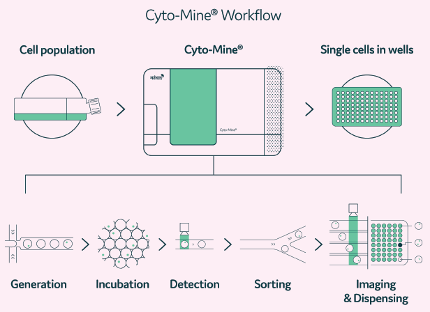 A Cyto-Mine® workflow. Integration of single cell screening, sorting, isolation, and verification using a fully integrated microfluidic process.
