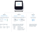 Rapid protein expression: DNA to assay-ready proteins in 48 hours