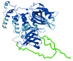 Enhancing protein degradation studies with cell-free E3 ligase expression