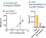 Validation criteria for a jejunum-hepatocyte dual-organ MPS for drug ADME studies