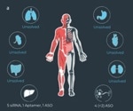 DELiveri®: A high-throughput, hypothesis-free screening platform for identifying novel delivery molecules for RNA therapeutics