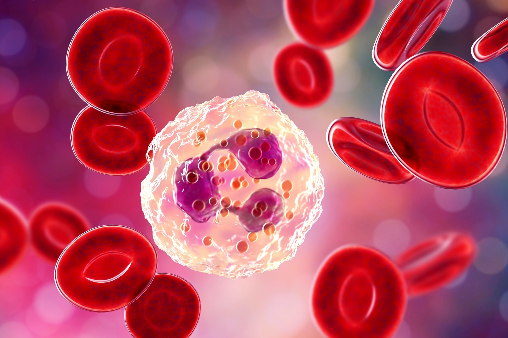 Neutrophil, 3D illustration. Image Credit: Kateryna Kon / Shutterstock