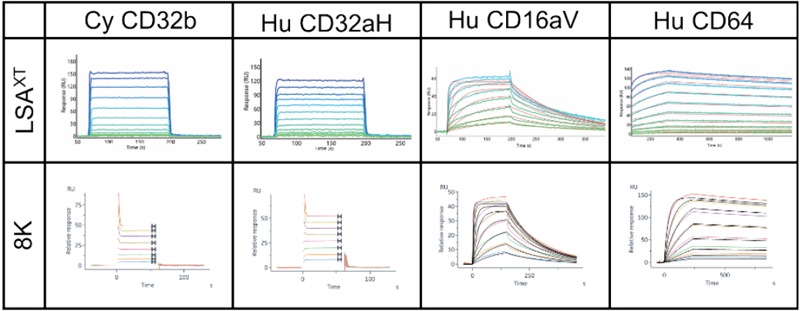 Four FcγRs (CDA-H82E6/CDA-H82E7/CDA-H82E8/CDA-H82E9) were selected to compare the performance of the Biacore 8K and LSAXT with trastuzumab