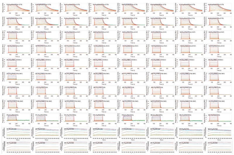 Binding profiles of trastuzumab against a panel of 11 FcyRs with 8 replicates of each