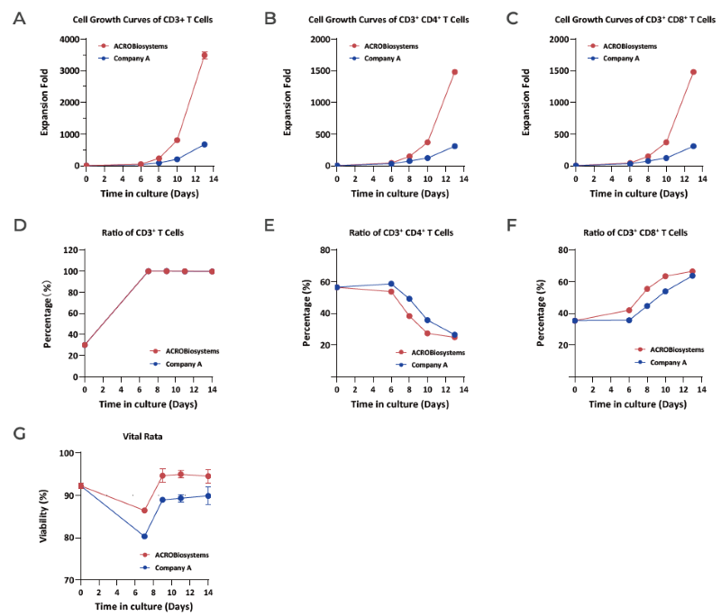 CelThera™ GMP T Cell Expansion Medium supports a higher expansion fold of T cells, regardless of (A) CD3+ T cells, (B) CD3+ CD4+ T cells, and (C) CD3+CD8+ T cells, compared to the Company A medium. (D) The percentage of CD3+ cells in living cells is still above 99%, with more than 3,000-fold proliferation, at the end of the culture process. The proportion of CD3+ CD8+ T cells in CD3+ T cells raises rapidly along the culture process. (E,F) At the end of culture, the percent of CD3+ CD8+ T cells reaches to more than 60%, and the percent of CD3+ CD4+ T cell is less than 30%. The expansion fold of CD3+ CD8+ T cells and CD3+ CD4+ T cells is 6000-fold and 1500-fold, respectively. (G) After 8 days of culture, T cell viability was 95% in CelThera™ GMP T Cell Expansion Medium, compared to 90% in the Company A medium