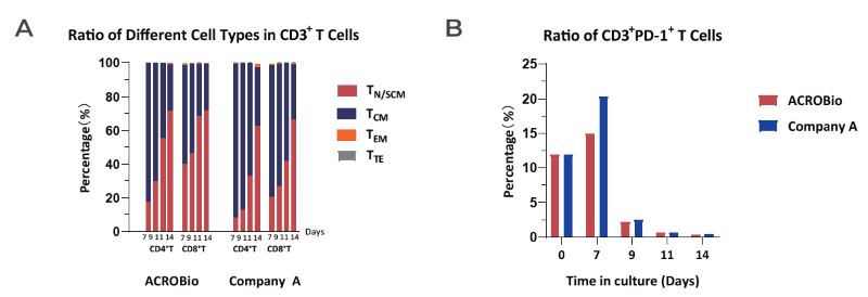 (A) The percentages of TN/SCM and TCM in CD4+ and CD8+ parent groups cultured in CelThera™ GMP T Cell Expansion Medium were much higher than in Company A medium throughout the culture period. Moreover, the majority memory phenotype of T cells are TN/SCM, followed by TCM, which means that the final cell product likely have sustained proliferation, prolonged survival, and so on. (B) Activated T cells were expanded for up to 14 days and evaluated for PD-1 expression, a marker for cell death. Low PD -1 expression of the activated human T cells was observed with PD1+ T cell percentages in the CelThera™ GMP T Cell E xpansion Medium lower than other company’s medium