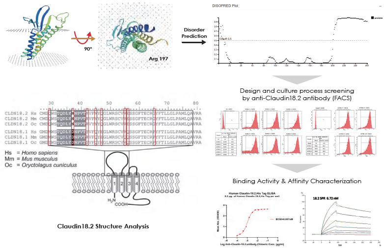 Design and development of target proteins in drug discovery