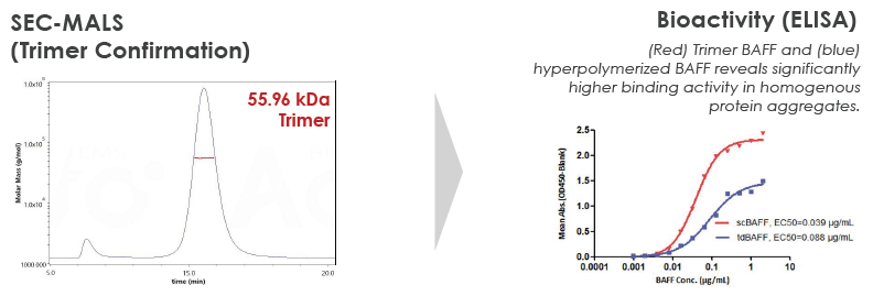 Design and development of target proteins in drug discovery