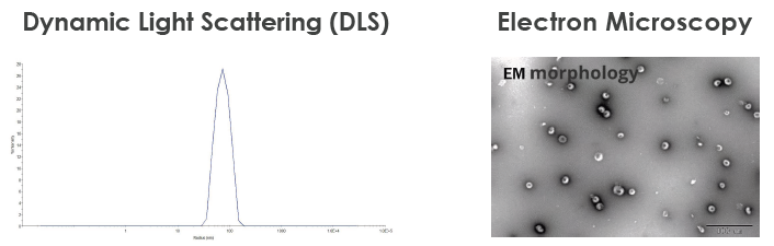 Design and development of target proteins in drug discovery