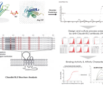 Design and development of target proteins in drug discovery