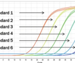 E.coli DNA testing to support CGT development