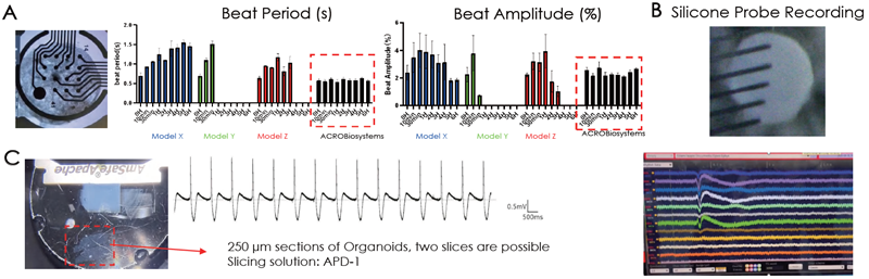 (A) Electrical activity of the cardiac organoids were confirmed extracellularly by (A) MEA and (B) silicon probe recordings and intracellularly by (C) patch clamp recordings. The resemblance of a physiological waveform of cardiac beating was identified