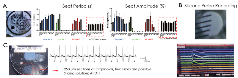 (A) Electrical activity of the cardiac organoids were confirmed extracellularly by (A) MEA and (B) silicon probe recordings and intracellularly by (C) patch clamp recordings. The resemblance of a physio logical waveform of cardiac beating was identified