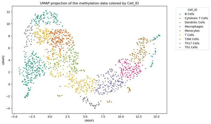 UMAP projection of the methylation data colored by cluster. Cell type annotation was performed using analysis of Differentially Methylated Regions (DMRs)