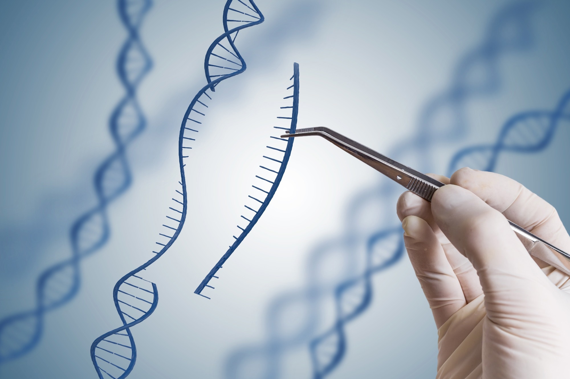 Genetic engineering, GMO and Gene manipulation concept.