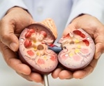 An Overview of the eGFR Blood Test