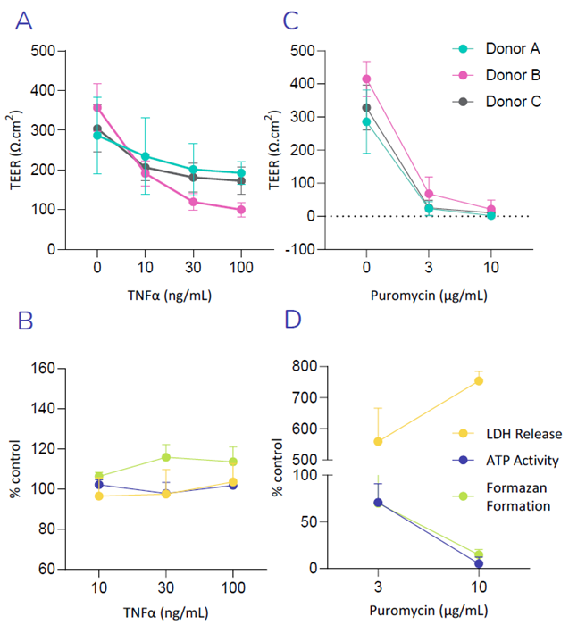 (A) Exposure of Small Airway Epithelial Cells (SAEC’s) to increasing concentration of the TNFα reduces TEER, in-line with cytokine induced breakdown of the epithelial barrier. (B) No significant increase in LDH release or decrease in ATP- or MTT- activity (formazan formation), was observed following exposure of SAEC’s to TNFα, suggesting TNFα induced breakdown of the epithelial barrier was not observed as a result of cellular toxicity. (C) Puromycin, an antibiotic with known toxic side effects in the lung, was used as a positive control. A decrease in TEER is triggered with increasing concentrations of Puromycin, indicating a loss in barrier integrity. (D) High increase in LDH release as well as a decrease in ATP- and MTT- activity was observed following exposure of SAEC’s to Puromycin, indicating drug induced cellular toxicity