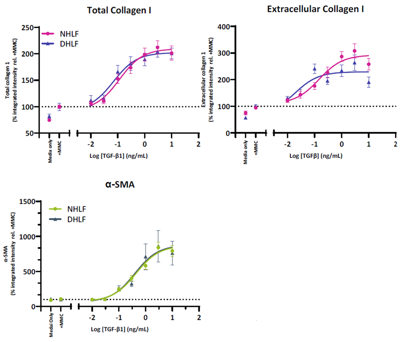 HLF from both normal and IPF donors demonstrate a TGF-β1 driven increase in FMT markers. Collagen I is increased in both the intracellular and extracellular compartments whilst α-SMA incorporation into stress fibres is indicative of fibroblast activation. HLF from normal (NHLF) and diseased (DHLF) donors were seeded into 384-well plates. The following day cells were stimulated with TGF-β1 dose response prepared in assay media and cultured for 72-hours. Cells were fixed and immunostained for collagen I (total and extracellular) and α-SMA. Shown is the total integrated intensity normalized to cell number expressed relative to the media control combined for