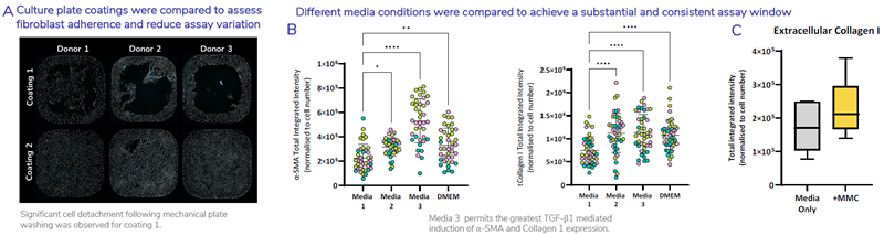 FMT assay conditions have been optimized to ensure reproducibility and achieve the greatest assay window. A) 384-well plates were coated with two different coatings then Normal HLF were seeded into wells at an equal density. Cells were fixed and stained using Hoechst 33342 to detect cell nuclei representative images shown of whole well x4 magnification. B) Four assay medias were compared to test which provides the greatest assay window. HLF were stimulated with TGF-β1 in four different assay medias. Shown is total integrated intensity normalized to cell number for a-SMA (left) and collagen 1 (right) of HLF (N=3 donors each colour point represents a donor) stimulated with 1ng/mL TGF-β1. Statistical analysis performed one-way ANOVA with Dunnett’s multiple comparisons test compared to Media 1. C) Inclusion of a macromolecular crowding agent (MMC) in the culture media promotes deposition of extracellular matrix and shows an increase in the baseline expression of extracellular collagen 1