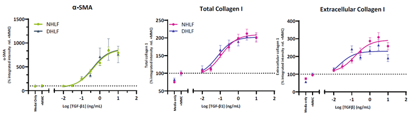HLF from both normal and IPF donors demonstrate a TGF-β1 driven increase in FMT markers. Collagen 1 is increased in both the intracellular and extracellular compartments whilst α-SMA incorporation into stress fibres is indicative of fibroblast activation. HLF from normal (NHLF) and diseased (DHLF) donors were seeded into 384 well plates. The following day cells were stimulated with TGF-β1 dose response prepared in assay media then cultured for 72 hours. Cells were fixed and immunostained for collagen I (total and extracellular) and α-SMA. Shown is the total integrated intensity normalized to cell number expressed relative to the media control combined for