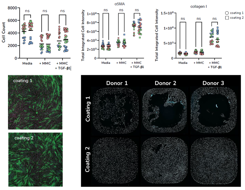 Advancing in vitro assays to model fibroblast-to-myofibroblast transition in fibrosis