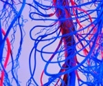 Understanding the Nervous System Dysregulation