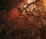 How Brain Cells Talk: Inside the Complex Language of the Human Mind