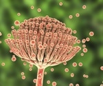 Aspergillosis: A Growing Global Crisis