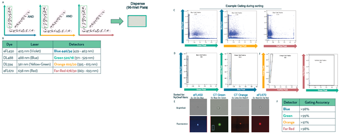 Sorting and gating accuracy using Cyto-Mine® Chroma. Four cell samples, each labeled with a different membrane dye, were mixed and loaded into the Cyto-Mine®Chroma platform. During sorting, cells were gated for a single dye while excluding all others, followed by dispensing. (a) Schematic illustration of the gating process during sorting. (b) Summary of fluorochromes used in the assay. (c) Example gating strategy for sorting Blue-labeled cells and the corresponding population after dispensing. (d) Dot plot showing the dispensed cell populations for Blue, Green, Orange, and Far Red-labeled cells, based on the gating strategy shown in (c). (e) Representative images of dispensed cells following sorting and dispensing of specific cell populations. (f) Microscopy analysis of dispensed cells used to assess the accuracy of gating during sorting
